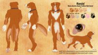 Refsheet by Randal - dog, male, canine, refsheet, toller