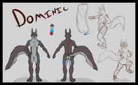 Dominic by DGears - wolf, male, canine, fit, ref, fighter, brawler, bark, street fighter