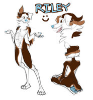 Riley 2013 by wannabeRiley - dog, male, reference sheet, shepherd, riley, australian