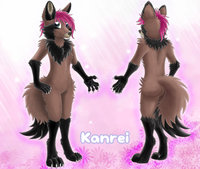 Kanei Ref-Sheet by Kanrei - male, androgynous, tanuki, ref-sheet, racoon dog
