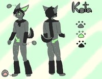 [Updated] Ref Sheet by KotaFen - husky, male, fennec