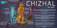 Chizhal species reference sheet by Eyenoom - feline, reference sheet, ref sheet, original species, chizhal