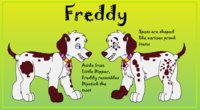 Freddy Reference Sheet by XMizanX - male, gag, dalmatian, 101 dalmatians the series, prankster, lovechild, 102 dalmatians, dipstick offspring