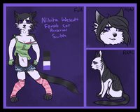 Nikita by ivoryfeathers - cat, female, character sheet, housecat