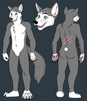 Ref Sheet by wolfy28 - wolf, male, ref sheet
