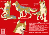 Klim Reference Sheet by gangstaguru - male, hybrid, canine, character sheet, feral, wusky, wolfsky, 2014