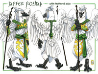 Jaffer Roshak - Character Sheet by Jaffer - male, raven