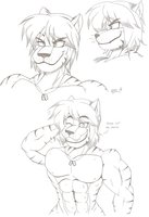 Noose the tiger  by BulgeMercenary - tiger, bulge, the, noose, males, bulgemercenary