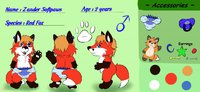 baby zander ref by crazyredfox - male, vulpine, baby fur, artwork (digital)