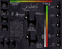 Shiles: Shadow Cats (Semi-Closed Species) by HydieHo - cat, feline, kitty, anthro, shadow, character, sheet, semi, open, oc, ghost, rare, adopt, non, species, closed, shile, shiles
