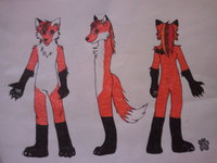 Fursuit Design by Tinkerbell0522 - dragon, fox, female, human, design, fursuit