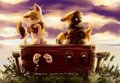 Flowercats in Stocks by PurpleKecleon