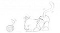yarn pounce
