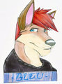 Badge 2010: Azur by Jirashi