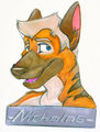 Badge 2010: Nicholas by Jirashi