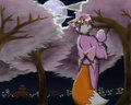 Sakura