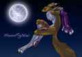 ..::MoonFighter::..