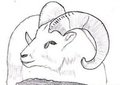 Doll Sheep 2 by RizzyRau