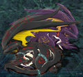 Dimension Dragoons