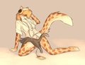 Strategically placed kitty by StarFighter