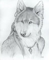 Werewolf Girl