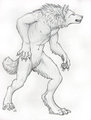 Bristled by Myenia