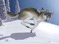 Winter Run by Myenia