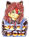 Disco Sucks! Furry Fiesta 11 Badge