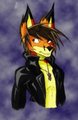 Jarret Night by Austin  by CptNight