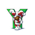 Y