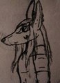 Anubian Jackal Jedidiah by RedWolf96