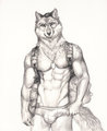 Military Wolf by solarscape