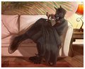 Cuddling on the Couch