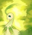 Bay by Raikissu