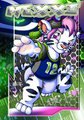 Nexxi Football Tag