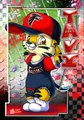Tavi Football Tag