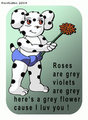 Grey by Kerocat