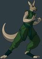 roo warrior