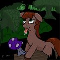 Pony eats delicious mushroom in forest