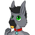 Luckywesel Icon