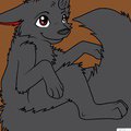 feral shadow by ShadowWolfslave