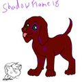 such a cute puppy by ShadowWolfslave