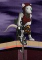Assassin - Up Close by Dragunov