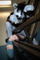 I am watching  by Kurtsa