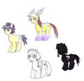 Pony Series