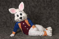 Quello again at Further Confusion 2011 by axelroo