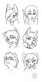 Giveaway~