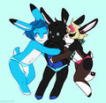 Bunnies and Undies