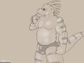 Brute by Immelmann