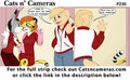 Cats n ameras Strip #246 - Don't wanna talk about it